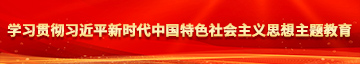 大鸡巴用力操骚逼视频学习贯彻习近平新时代中国特色社会主义思想主题教育